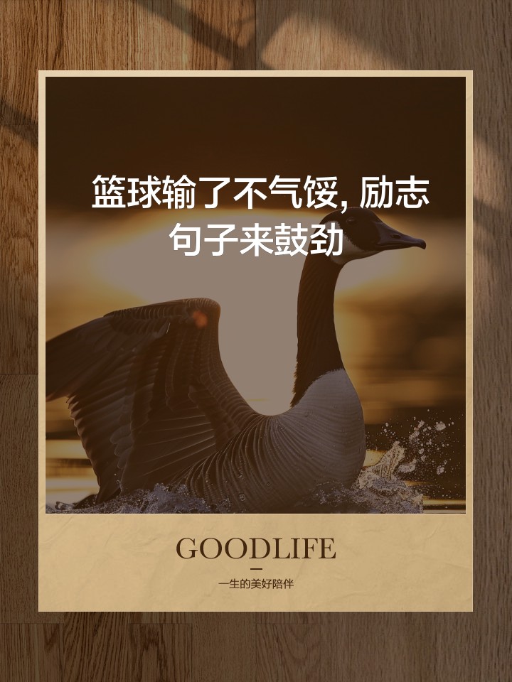 篮球运动员一周的力量训练计划怎么写_0